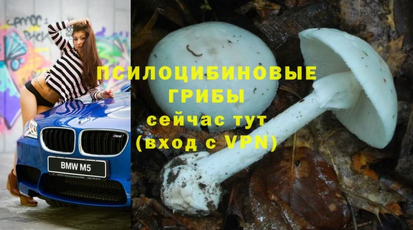 мет Алзамай