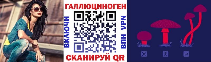 Галлюциногенные грибы MAGIC MUSHROOMS  продажа наркотиков  Кудрово 