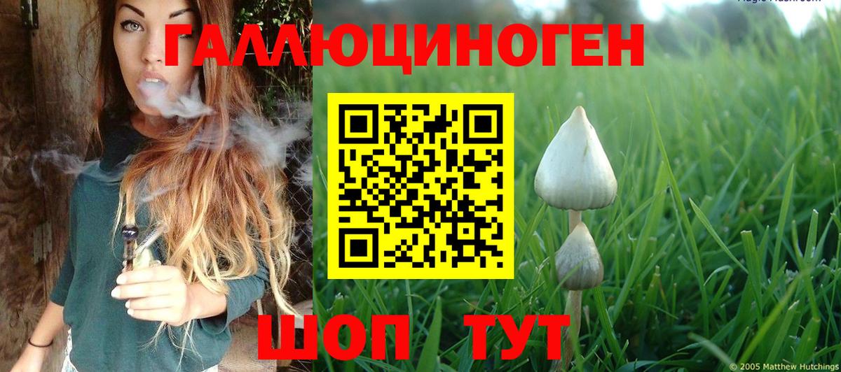 Галлюциногенные грибы Magic Shrooms Кудрово