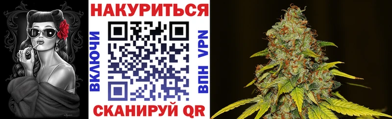 хочу наркоту  Кудрово  Конопля марихуана 