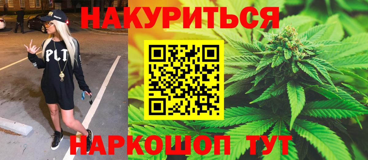 Канабис сатива Кудрово
